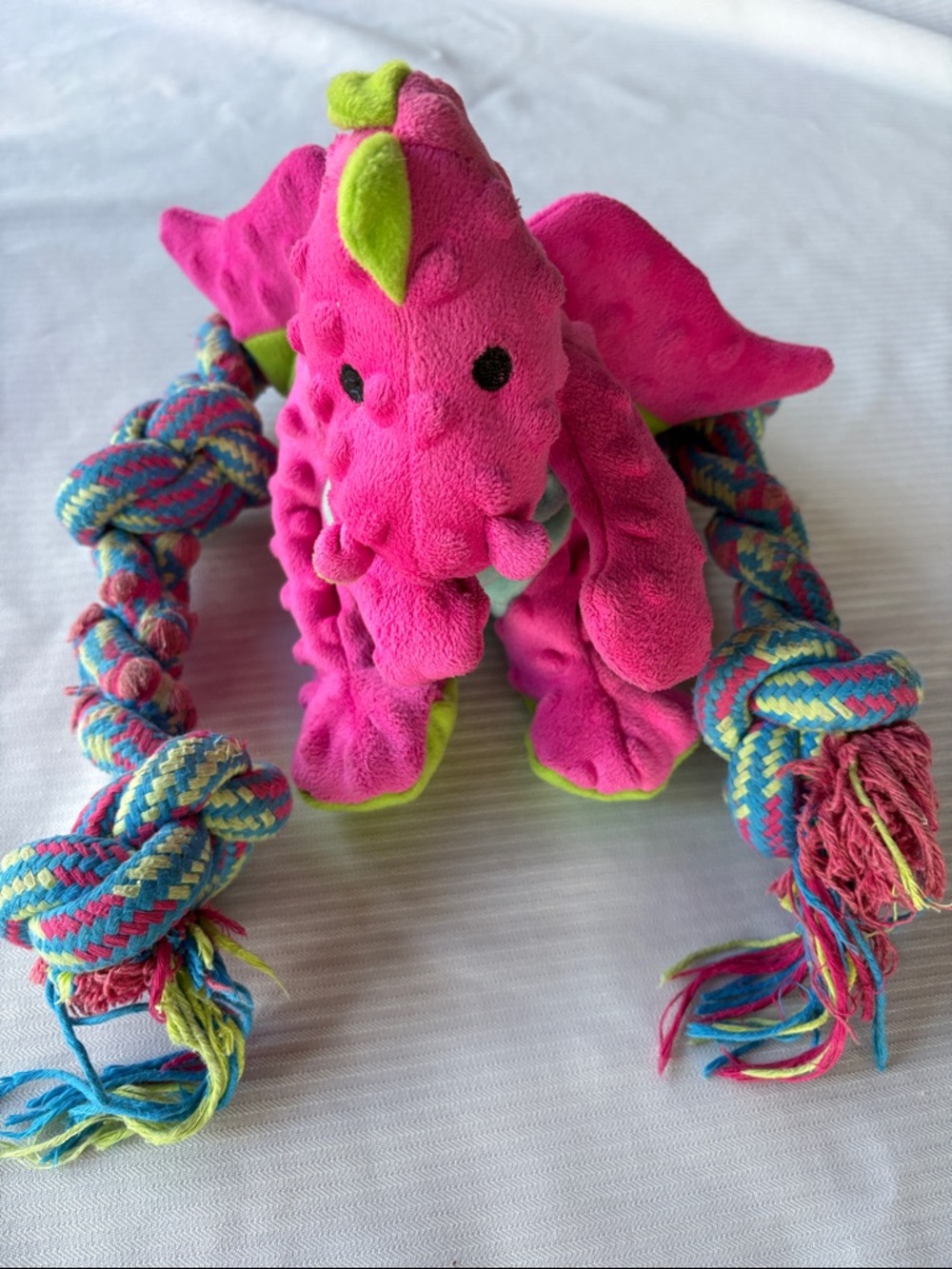 Tug-of-War Rope & Pink Dragon